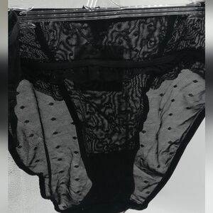 Sheer Black Lace & Mesh High-Cut Panty